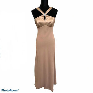 NWT David’s Bridals Tan/ Latte Gown Braids-maid